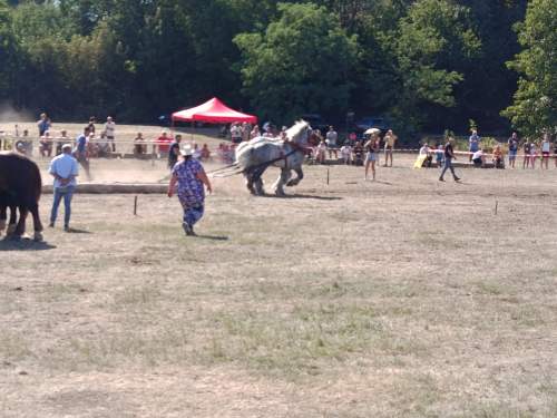 IMG_20260808_152713
